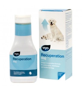 viyo-recuperation-dog