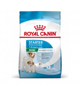 royal-canin-mini-starter